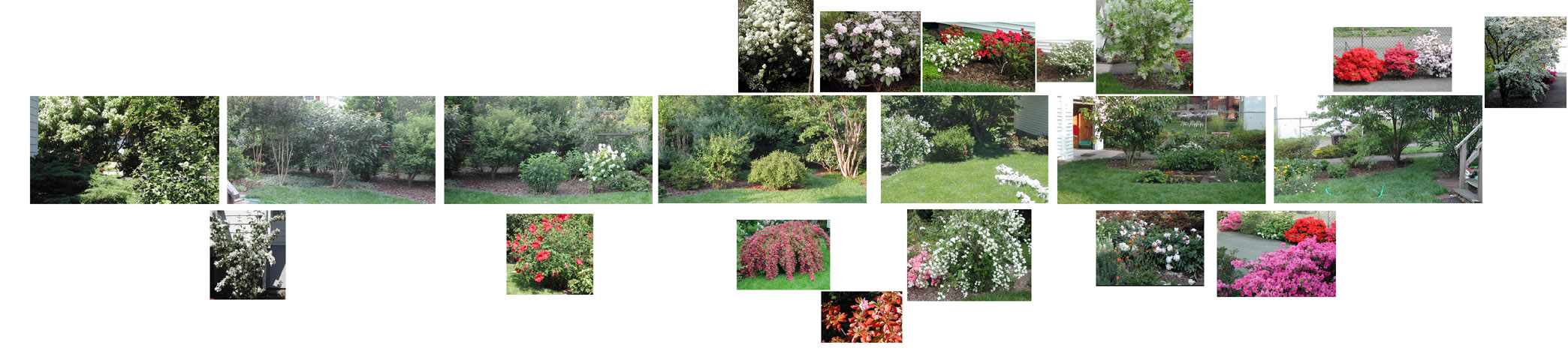 Paul's collage of back garden