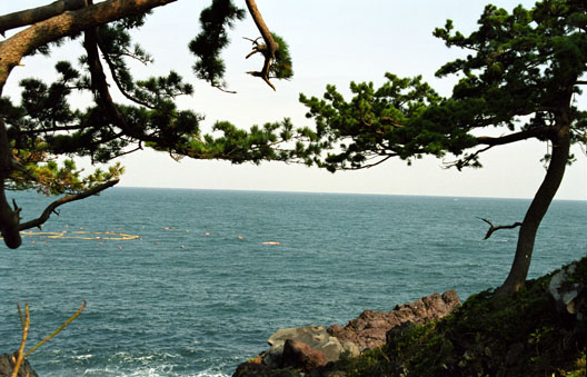 Fishing nets are visible in this view out to the Sea of Japan - viewe.jpg